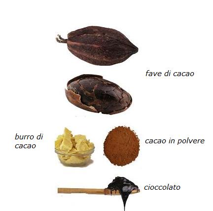 cacao