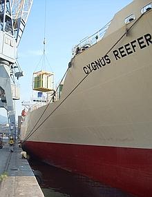 kiwi a Genova--220x286 Terminal Fruit a Genova