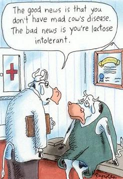 lactose intolerance