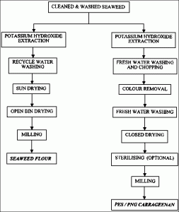 carrageenan production
